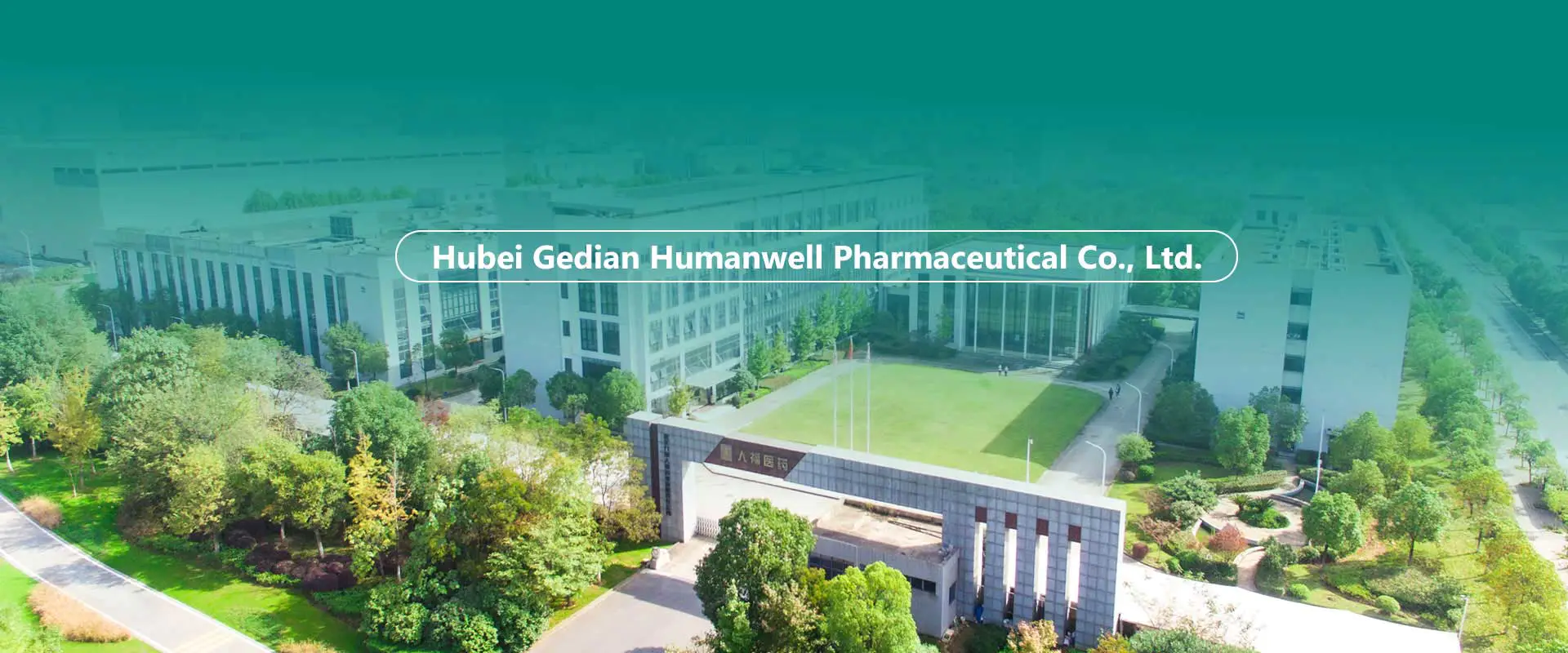 API cinesi, intermedi, fabbrica di formulazioni