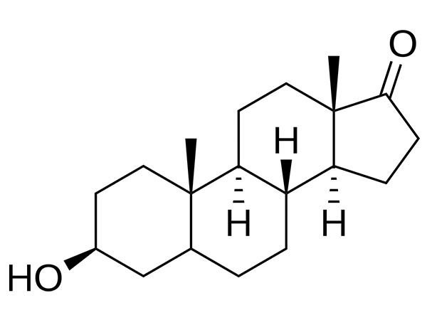 Cos'è l'epiandrosterone e perché sta diventando popolare nella moderna ricerca sugli ormoni